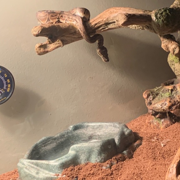 Meet your Posher, Peter - Picture 1 of 1